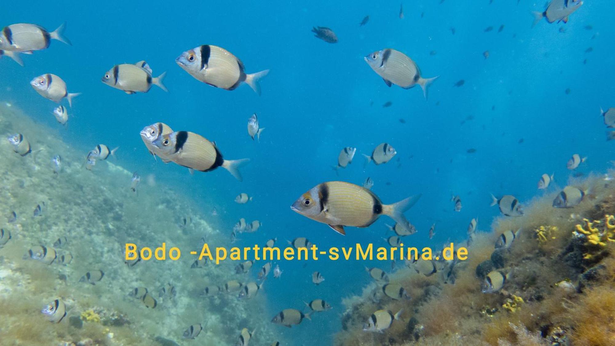 Bodo Apartment ラビン エクステリア 写真